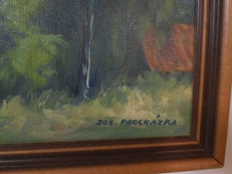 Černokostelecké lesy, Jar. Procházka 1908 +1989 - 3