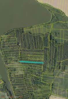 Prodám lesní pozemky v k.ú. Milčice - 3