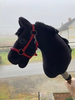 Hobby horse - 3