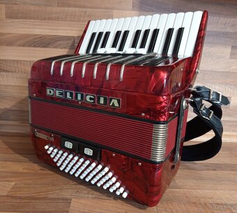 Akordeon (harmonika, heligonka) Delicia Junior 72 basů - 3