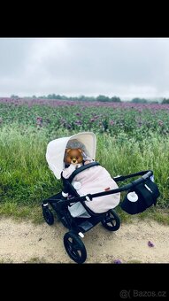 Bugaboo fox - 3