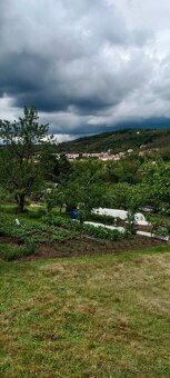 Zahrada v Ivančicích na Rene - 3