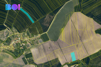 Prodej pole, 58660 m², Jestřabice - 3