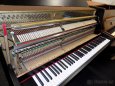 Prodám celopancéřové piano, pianino, klavír Petrof - Rosler - 3