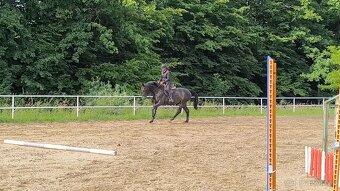 4 léta klisna po Quaid - 3
