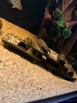 Velké akvarium - 3