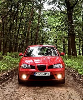 Seat Ibiza 6L - 3