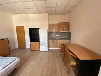 🏡 Pronájem — pokoj pro rodinný pár v Žižkově - 3