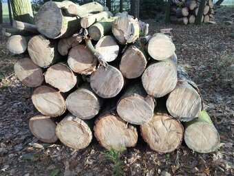 Palivové dřevo - 3