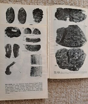 Vltavíny a tektity - 3