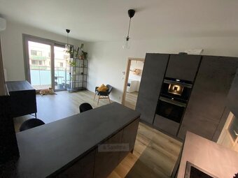 Pronájem bytu 3+kk 75 m², České Budějovice - 3
