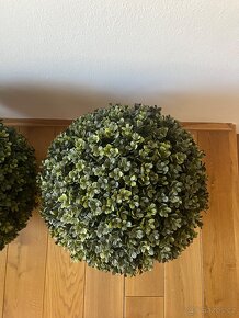 Umělý buxus - 3