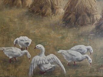 Obraz Žně na Vysočině, Peterka 45x59 - 3