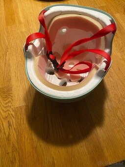 Prodám brusle + set na koně - 3