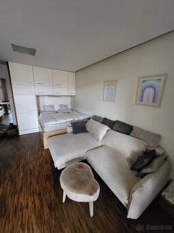 Pronajem bytu 1+kk 50m2 - 3