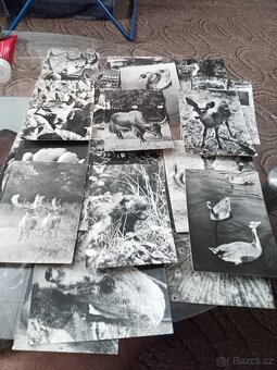 Fotogalerie a pohlednice černobílé. - 3