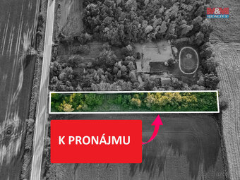 Pronájem zahrady, 3761 m², Sezemice - 3