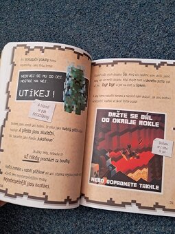 Minecraft, Ronaldo,... - 3