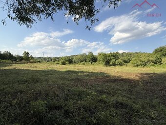 Prodej stavebního pozemku (2241 m2) Minice, okr. Louny - 3