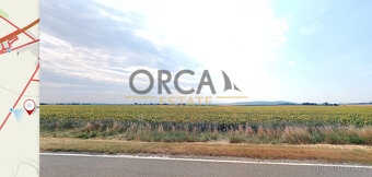 0,3 ha pozemků v k.ú. Holasice - 3