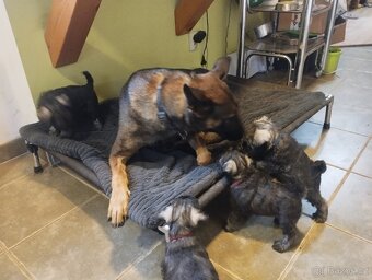 KNÍRAČ MALÝ P+S s PP - 3