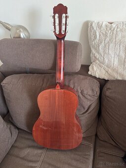 Kytara Blond Espina 1/2 - 3