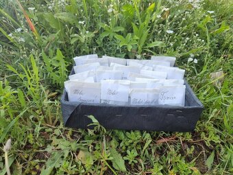 🌿 Domácí sušené bylinky – voňavý poklad z přírody 🌿 - 3