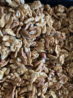 Letošní vlašské ořechy - 3