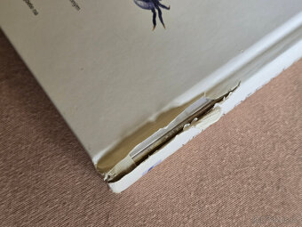 VELKÁ DĚTSKÁ ENCYKLOPEDIE: ZVÍŘATA - 3