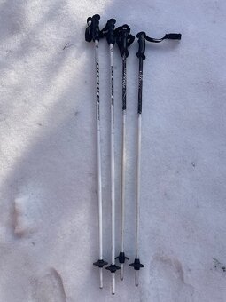 lyžařské hůlky 100 a 110 - 3