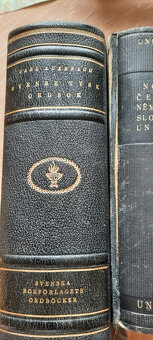 Deutsches Wörterbuch – Karl Dieter Bünting - 3