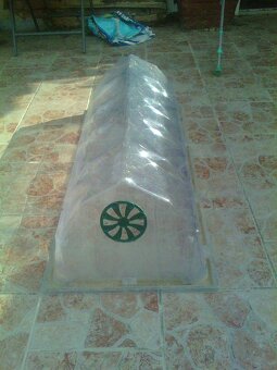 Prodám 5ks malý plastový fólijovník - 3