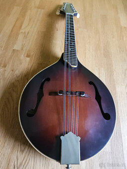 Celomasivní mandolína FURCH Ma-2 typ A - 3