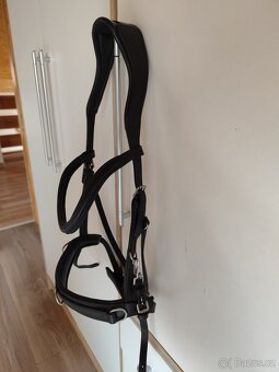 Anatomická uzdečka - 3