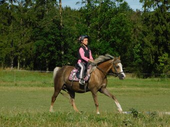 pony klisna - 3