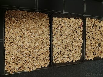 Vlašské ořechy - 3