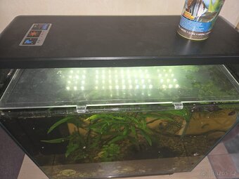 DARUJI AKVÁRIUM - 3