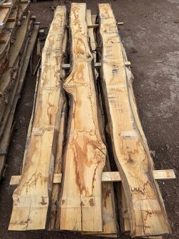 Dub sušené řezivo - 3