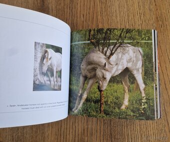 Horses (CubeBook, 2010) - 3