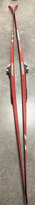 Běžky Atomic Ski Tiger 170 cm, vázání SNS Salomon 95 flex - 3