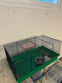 Klece cena za kus - 3