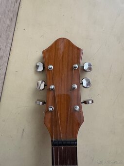 Banjo Mustang - 3