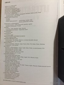 Český jazyk a literatura - 3