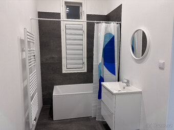 Pronájem světlého 1+kk u městského parku - Nový Bohumín - 3