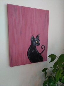Kotě akryl 40x50 - 3
