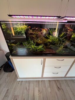 Akvarijní set - 3