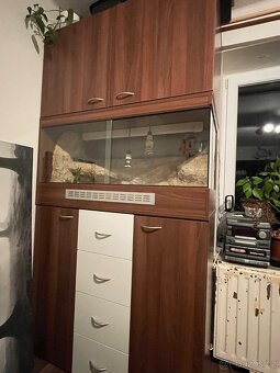 Vestavěné terárium s komodou - 3