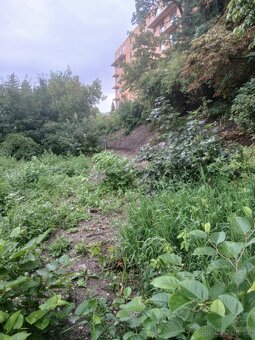 Zahrada Kladno - 3
