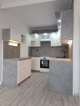 Dlouhodobý pronájem OV 2+kk,43m2 ,Lipová bl.528 Most - 3