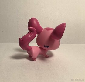 LPS (ještěrka, chinchilla) - 3